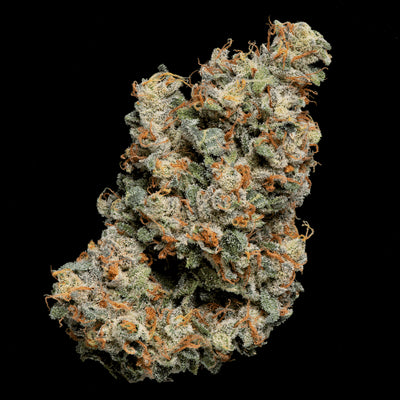 Terp Farmz - Jelly Donutz